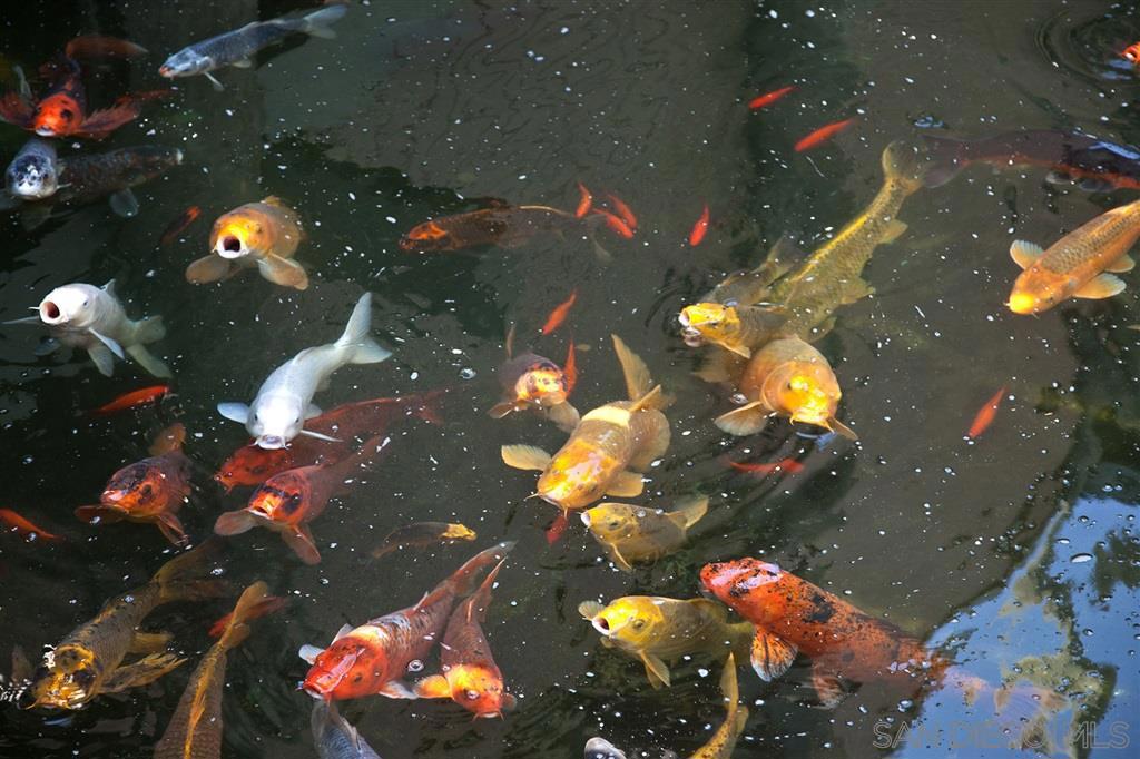 999 N Pacific St. B108