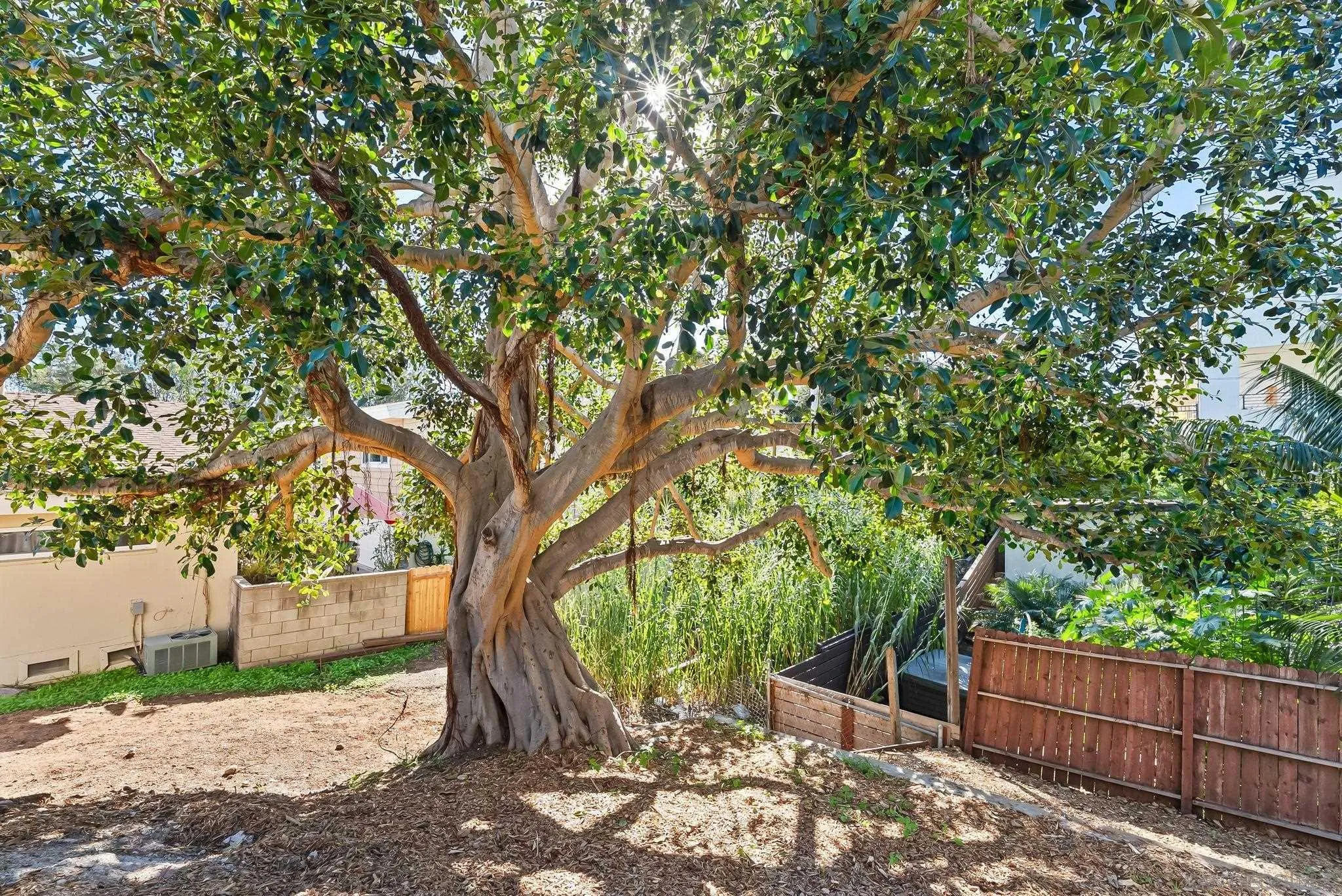 3678 Richmond St, San Diego