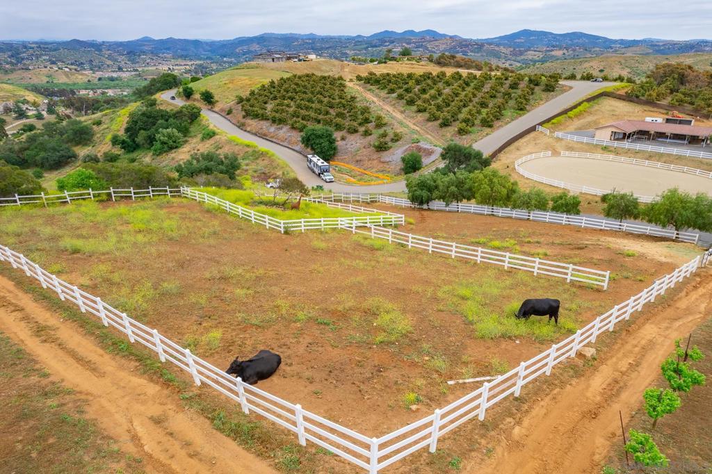 5104 Olive Hill Trl
