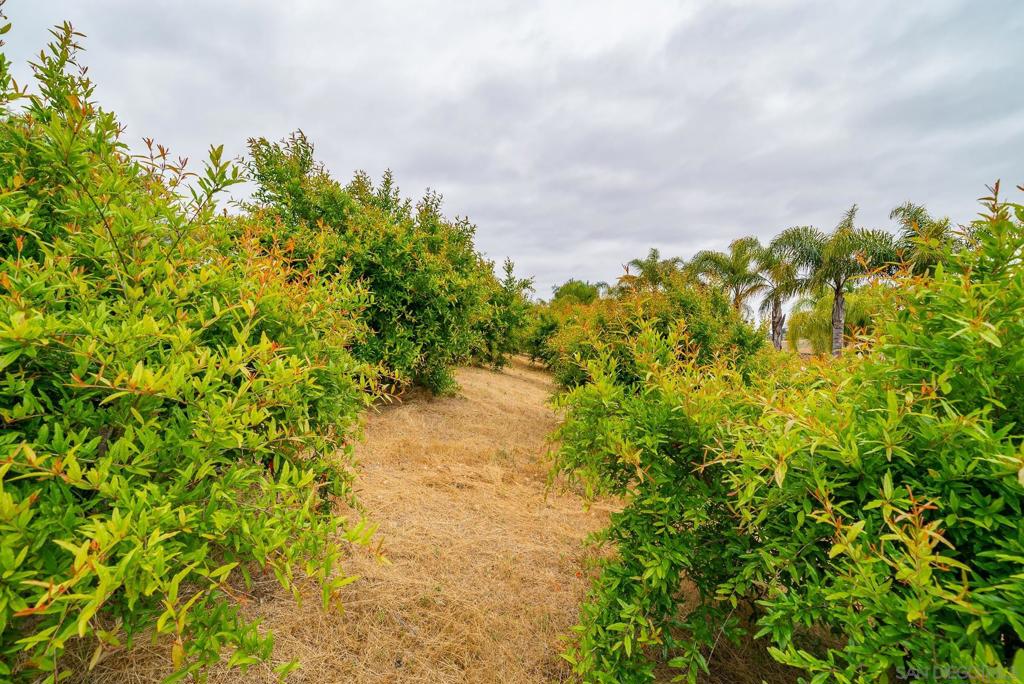 5104 Olive Hill Trl