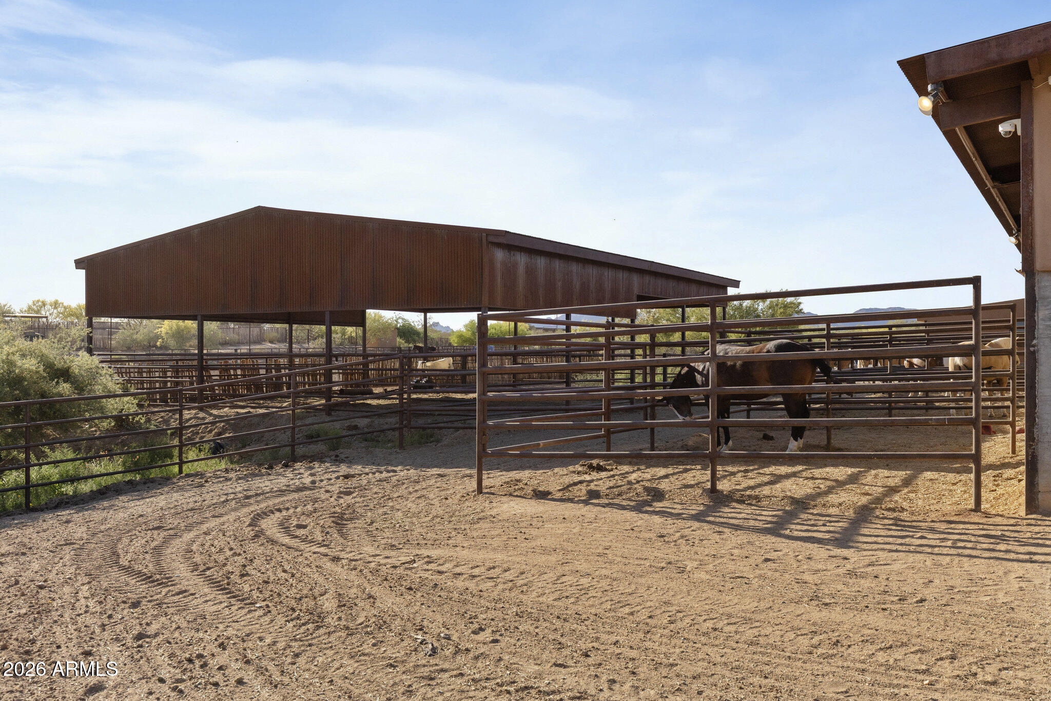 21620 W Buckwheat Lane