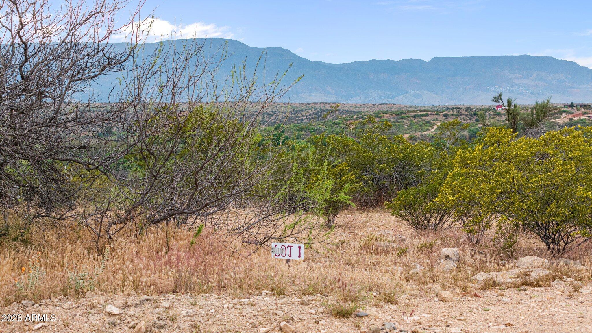 10973 E MAJESTIC VISTA Lane 1