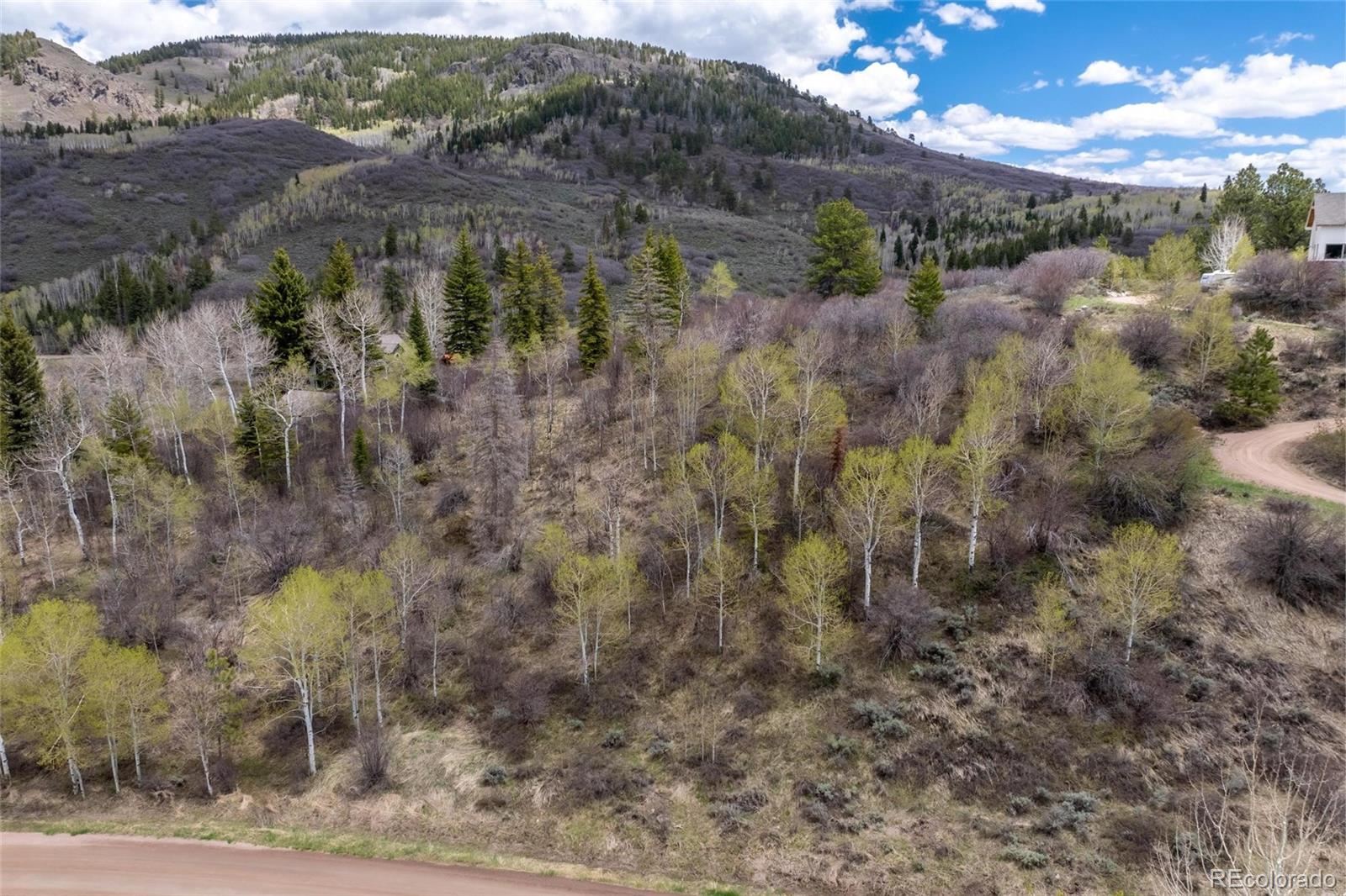 22890 Snowbird Trail