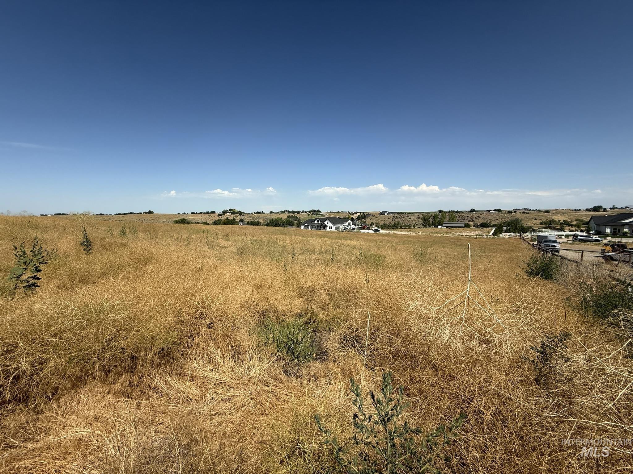 TBD Desert Wolf Lane