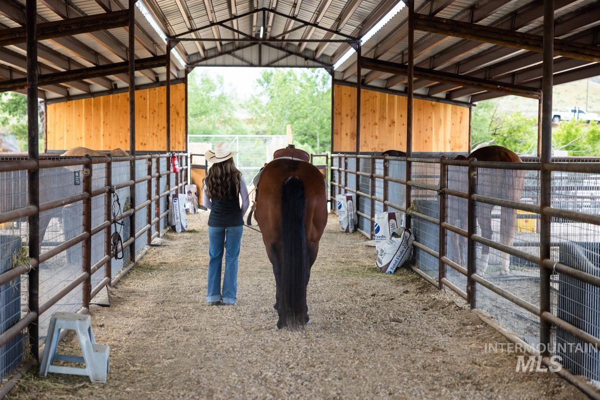 6774 Saddle Bred Way