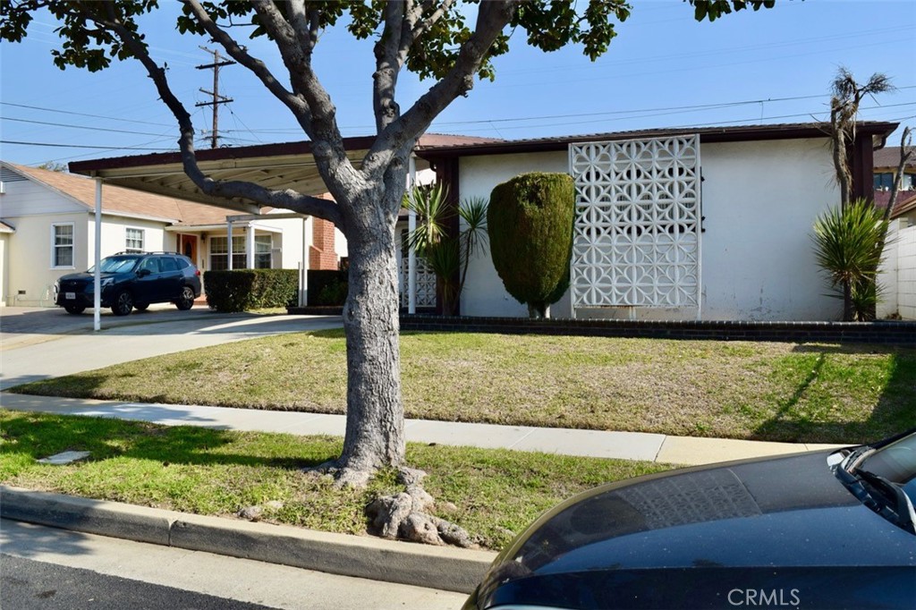 11614 Tarron Avenue