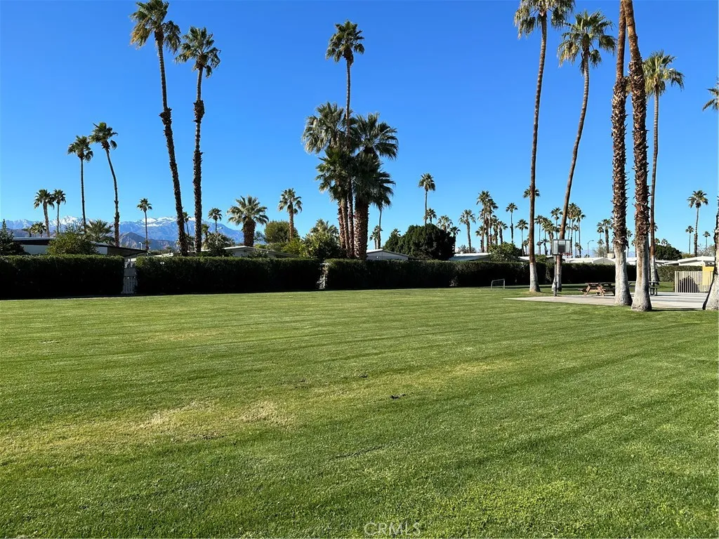 43155 Portola # 105