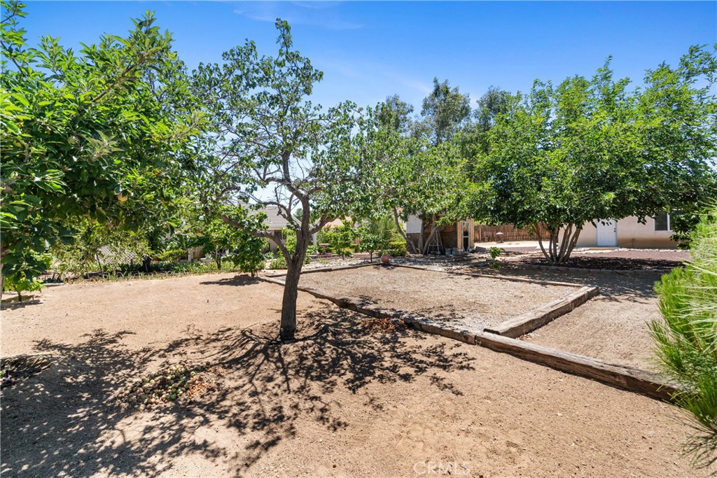 15176 Farmington Court