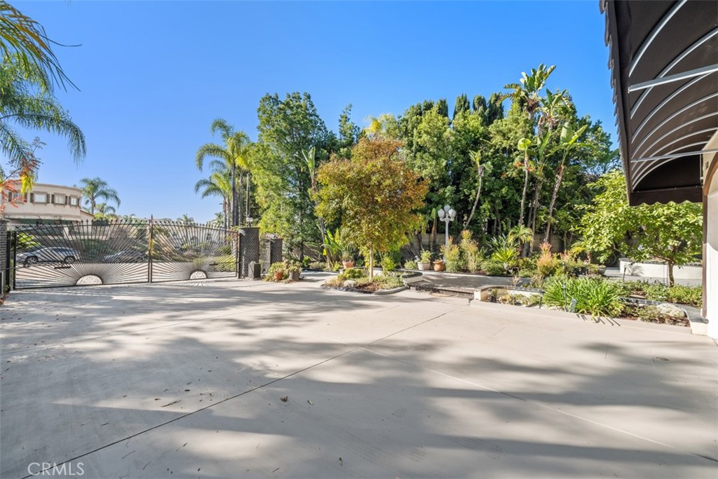 3203 Halsey Court