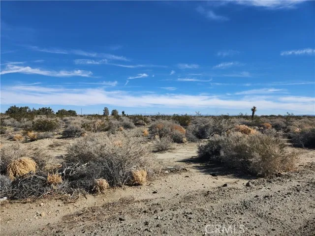 0 El Mirage/sheepcreek