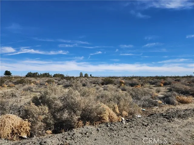 0 El Mirage/sheepcreek
