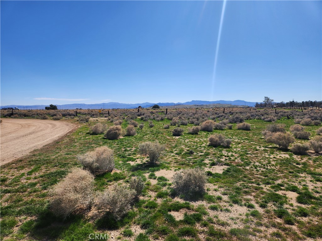 0 Yucca Rd