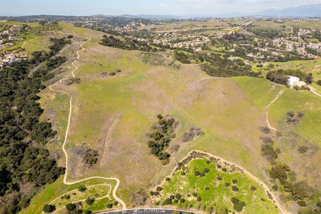 1 OLD CARBON CANYON Cut / Cutoff