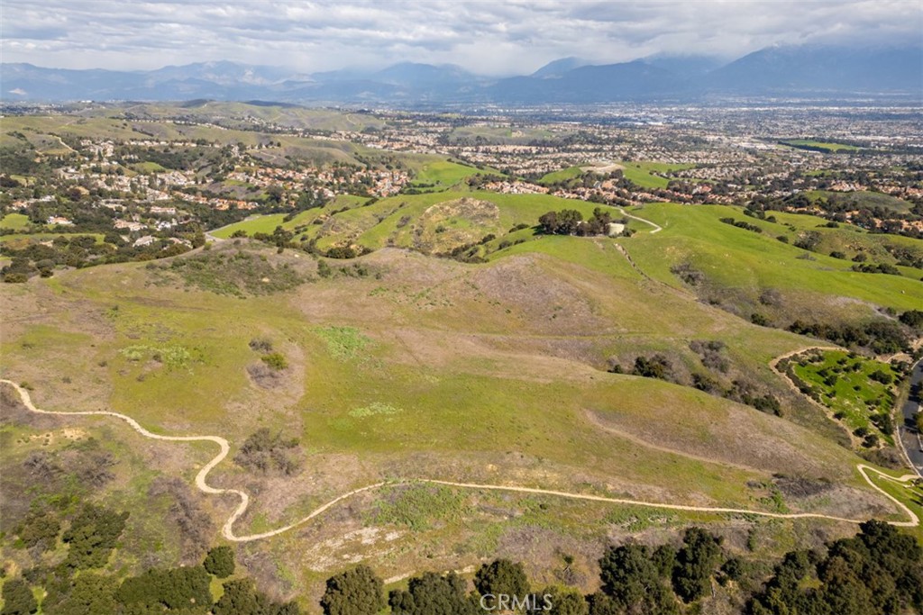 1 OLD CARBON CANYON Cut / Cutoff