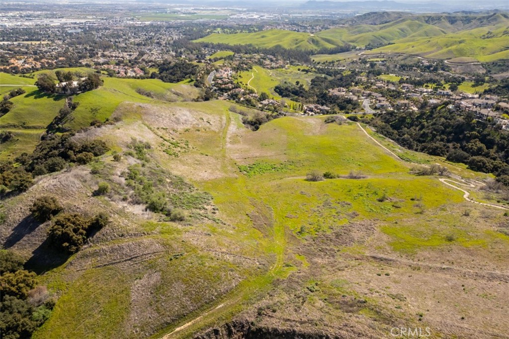 1 OLD CARBON CANYON Cut / Cutoff
