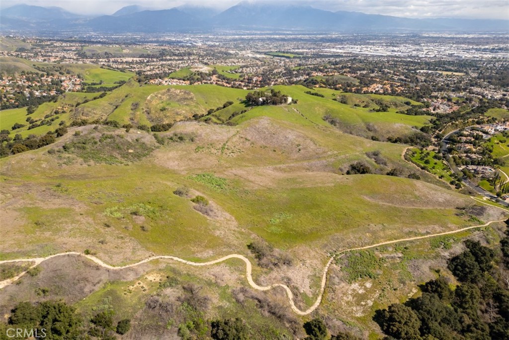 1 OLD CARBON CANYON Cut / Cutoff