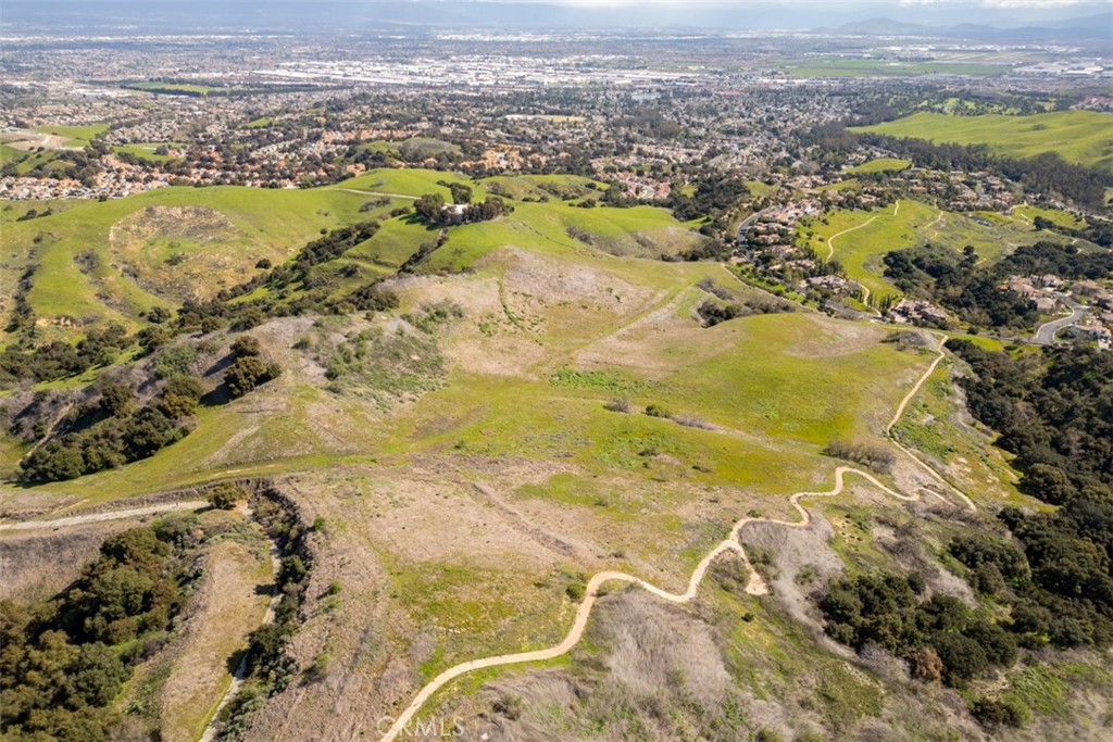 1 OLD CARBON CANYON Cut / Cutoff