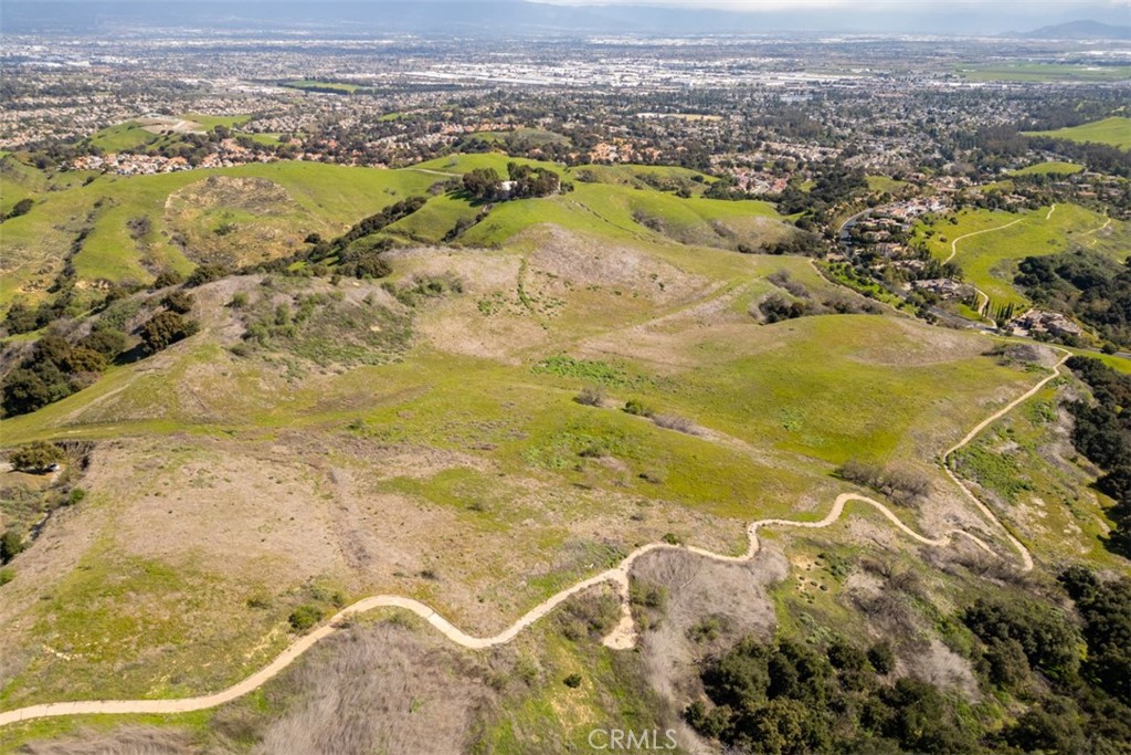 1 OLD CARBON CANYON Cut / Cutoff