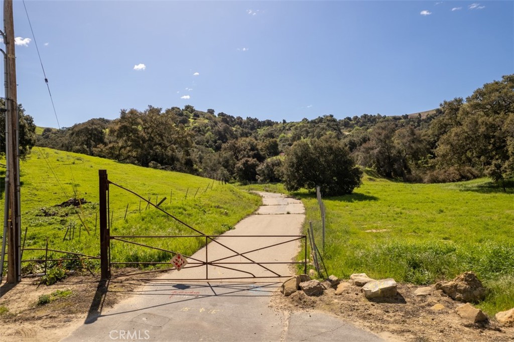 1 OLD CARBON CANYON Cut / Cutoff