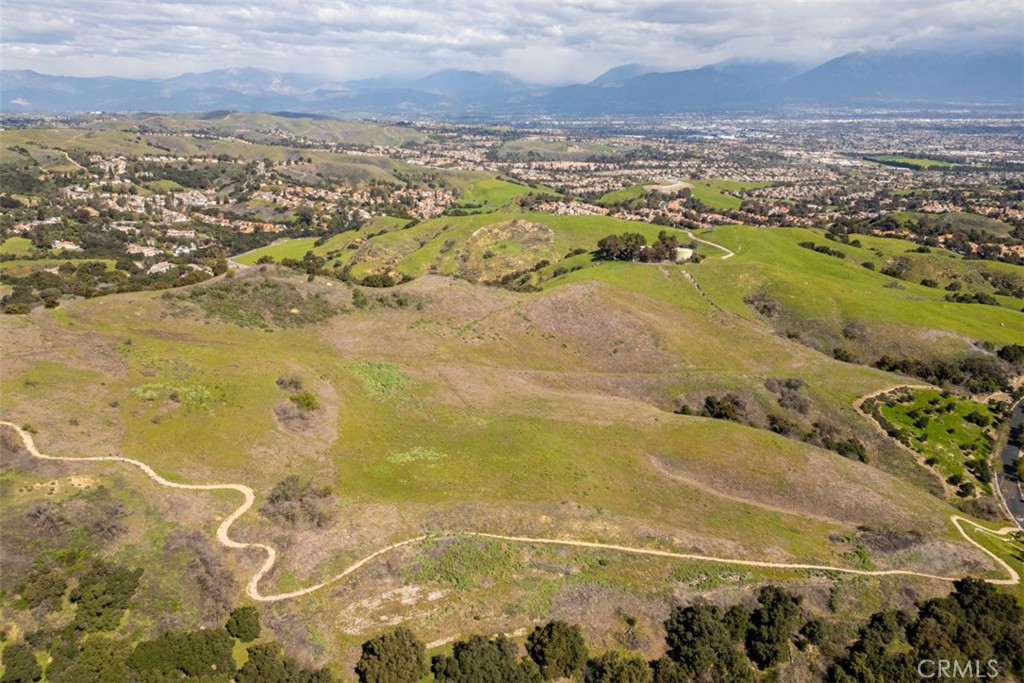 1 OLD CARBON CANYON Cut / Cutoff