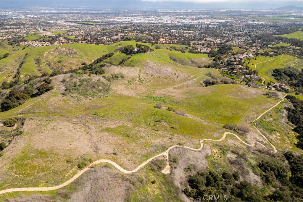 1 OLD CARBON CANYON Cut / Cutoff