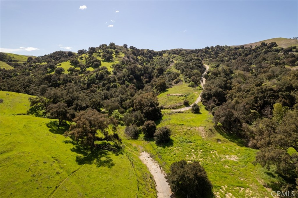 1 OLD CARBON CANYON Cut / Cutoff