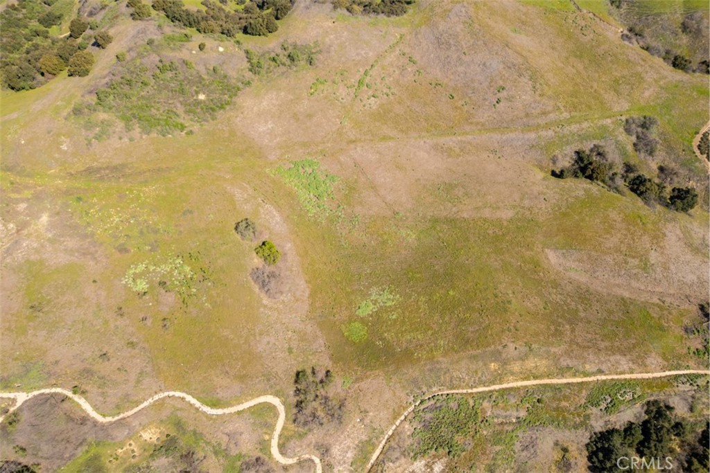 1 OLD CARBON CANYON Cut / Cutoff