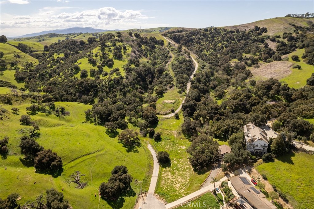 1 OLD CARBON CANYON Cut / Cutoff