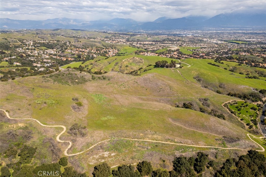 1 OLD CARBON CANYON Cut / Cutoff