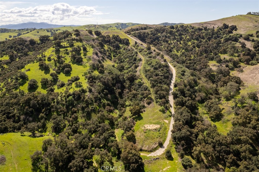 1 OLD CARBON CANYON Cut / Cutoff