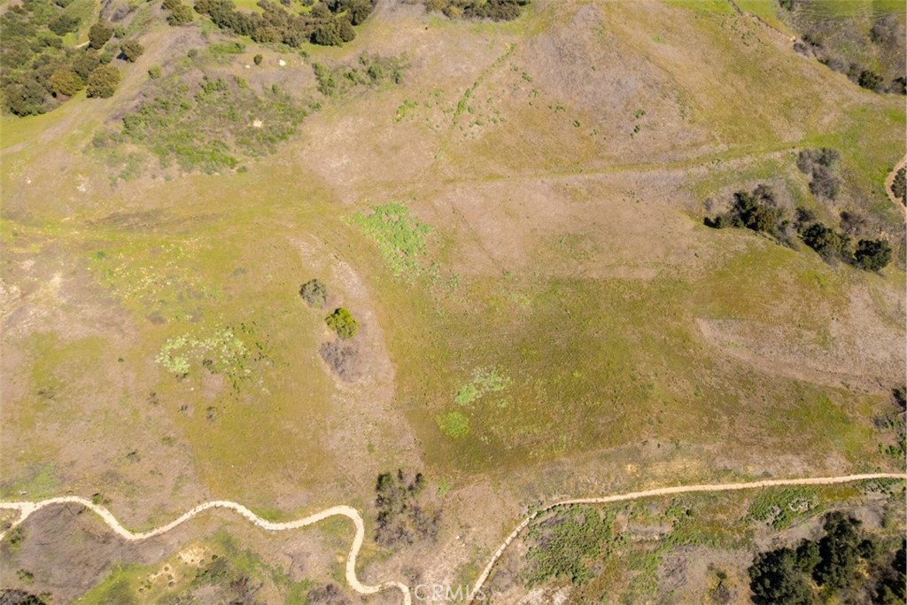 1 OLD CARBON CANYON Cut / Cutoff