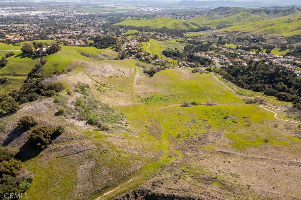1 OLD CARBON CANYON Cut / Cutoff