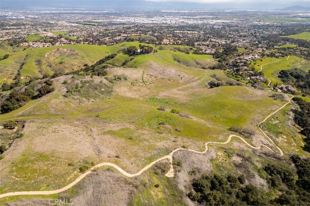 2 CUTOFF OLD CARBON CANYON