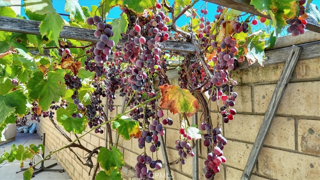 115 W Saint Andrews Street