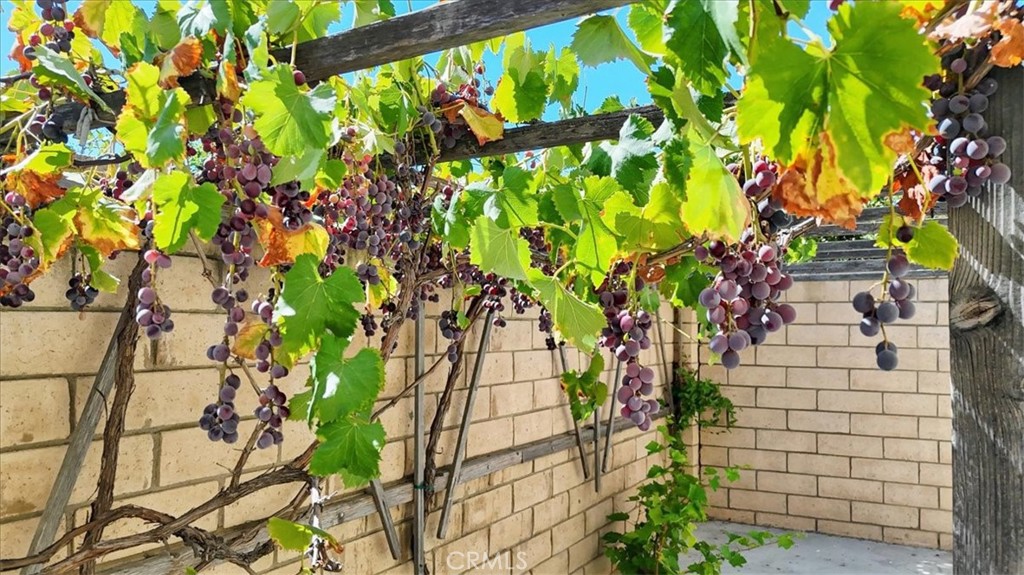 115 W Saint Andrews Street