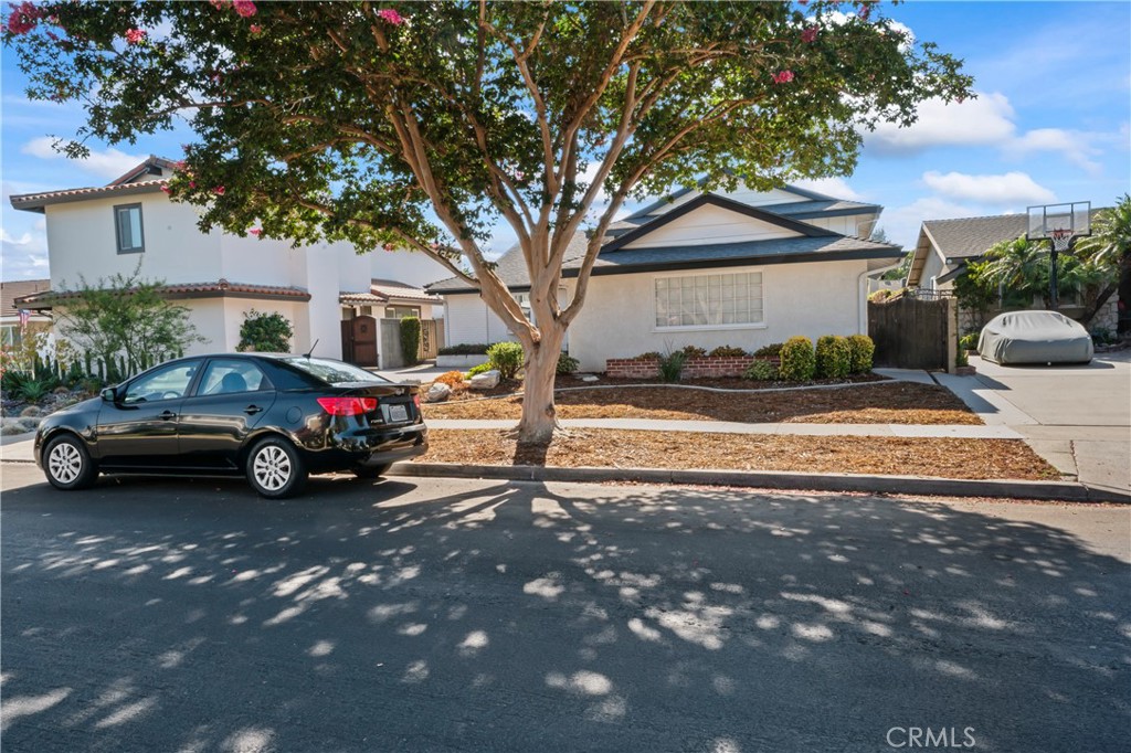 3461 N El Dorado Drive