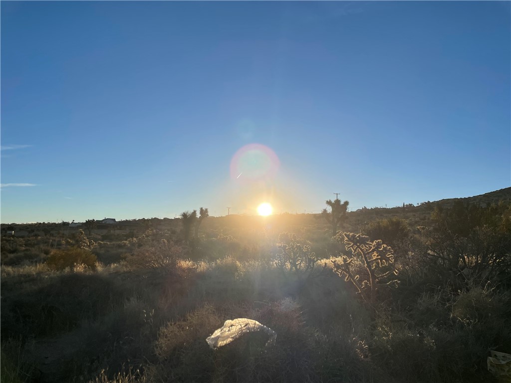 9509 Bonita Vista Street