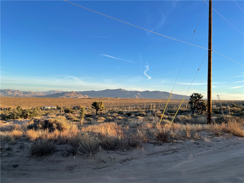 9509 Bonita Vista Street