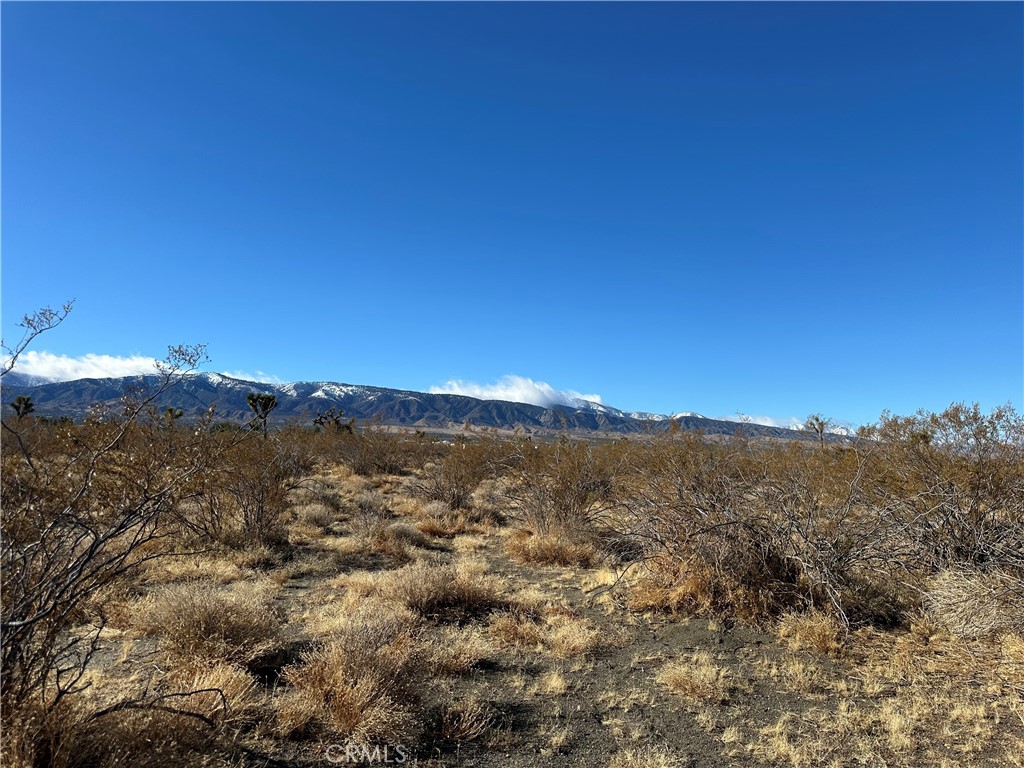 12650 Wintergreen Road