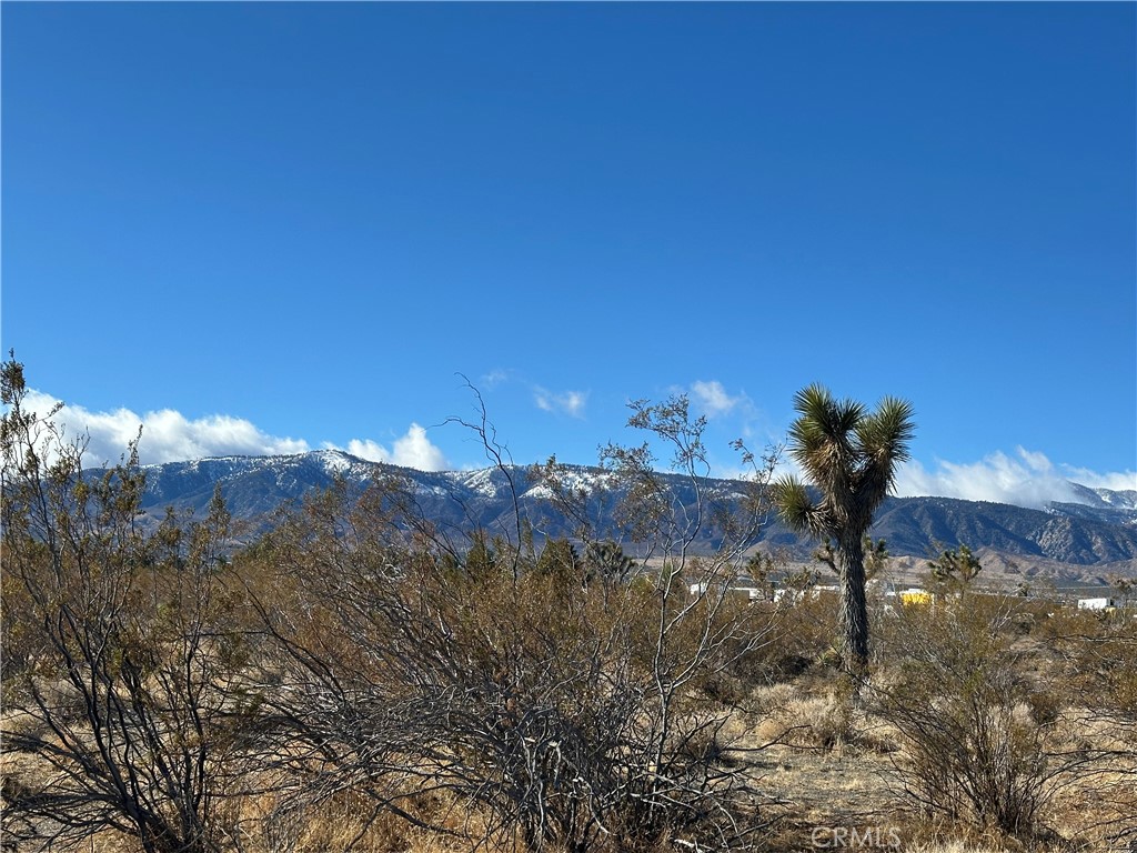 12650 Wintergreen Road