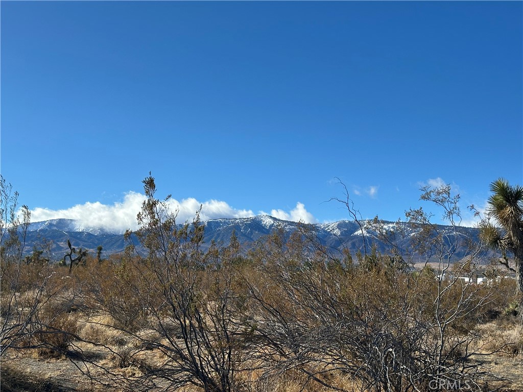 12650 Wintergreen Road