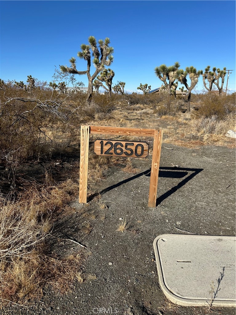 12650 Wintergreen Road