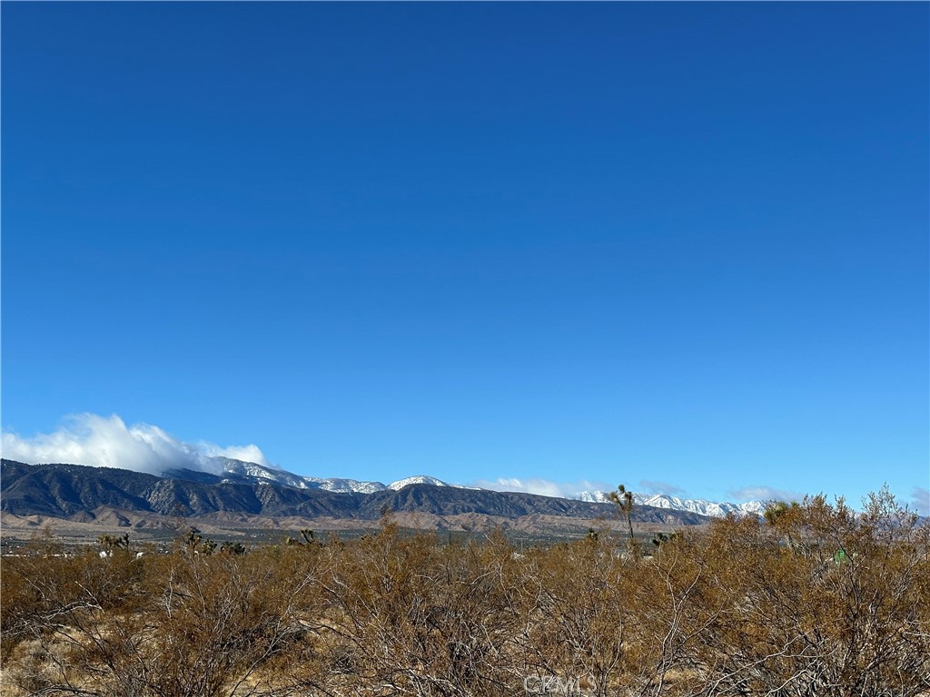 12650 Wintergreen Road