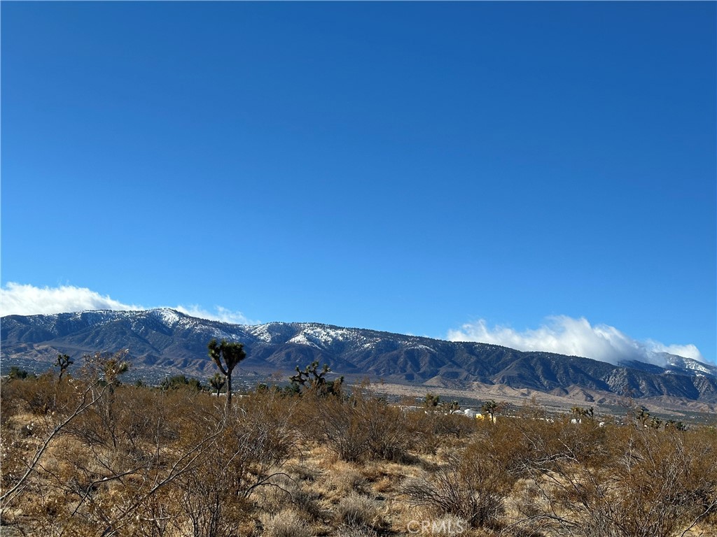 12650 Wintergreen Road