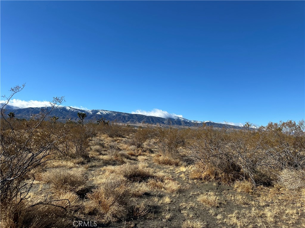 12650 Wintergreen Road