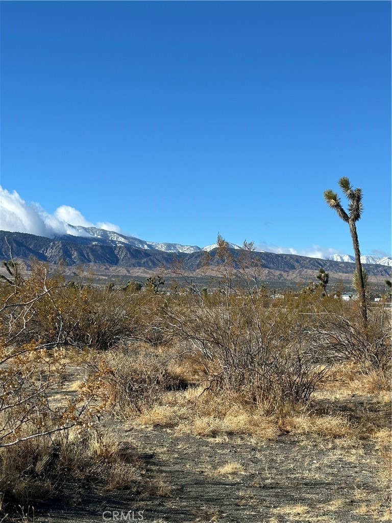 12650 Wintergreen Road