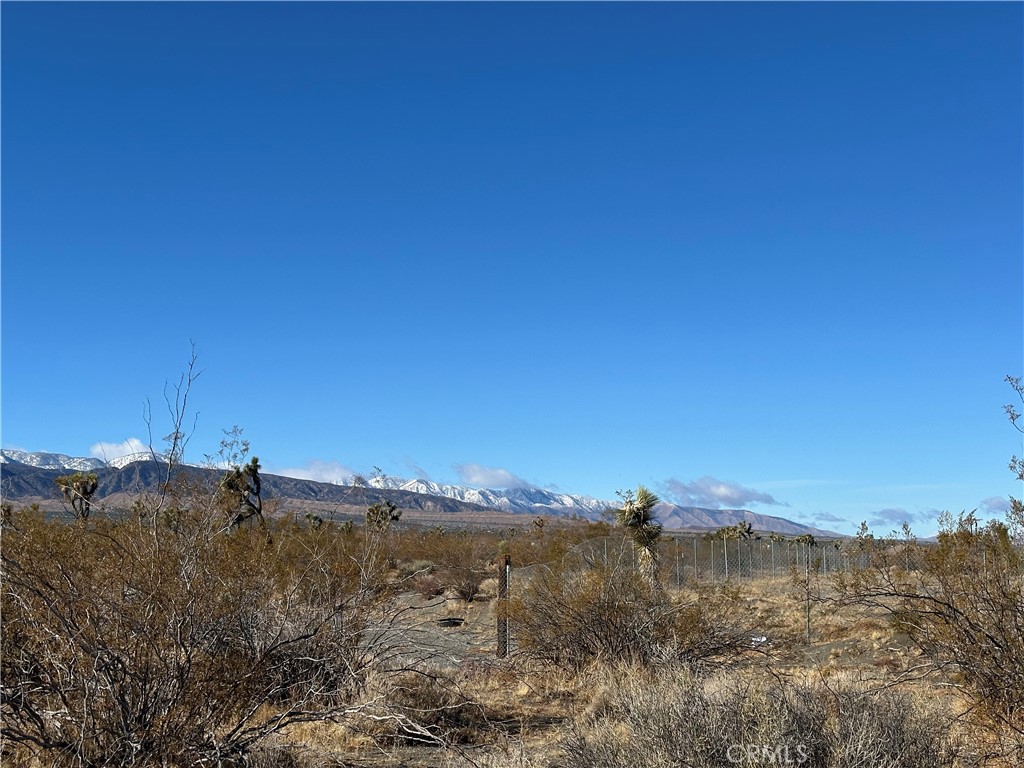 12650 Wintergreen Road