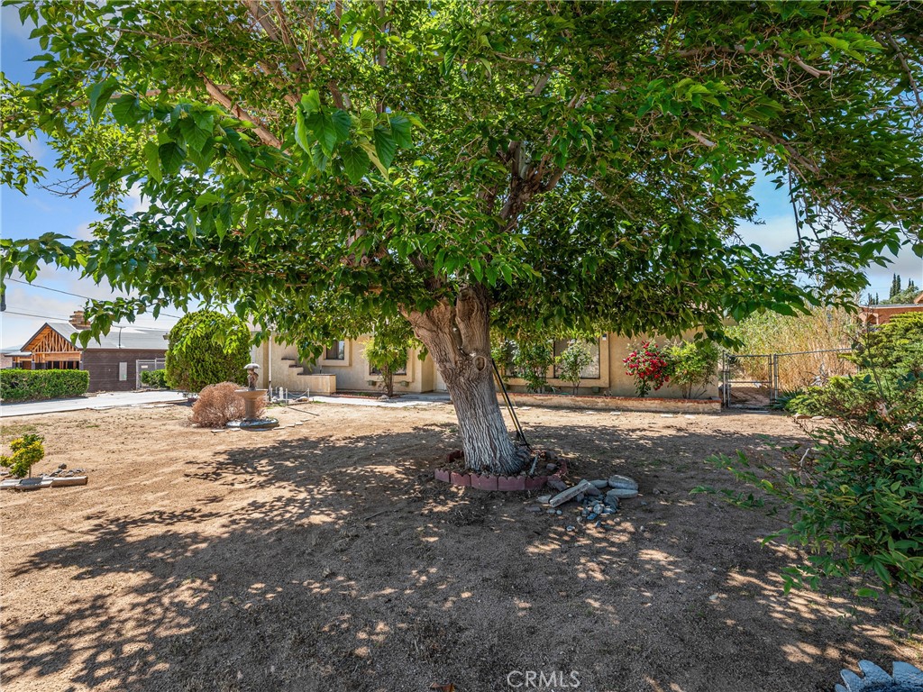 17949 Catalpa Street