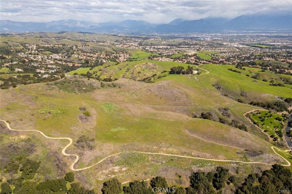 13 OLD CARBON CANYON