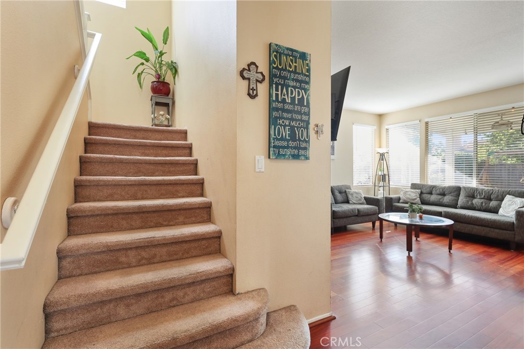 11497 Cotton Cloud Drive